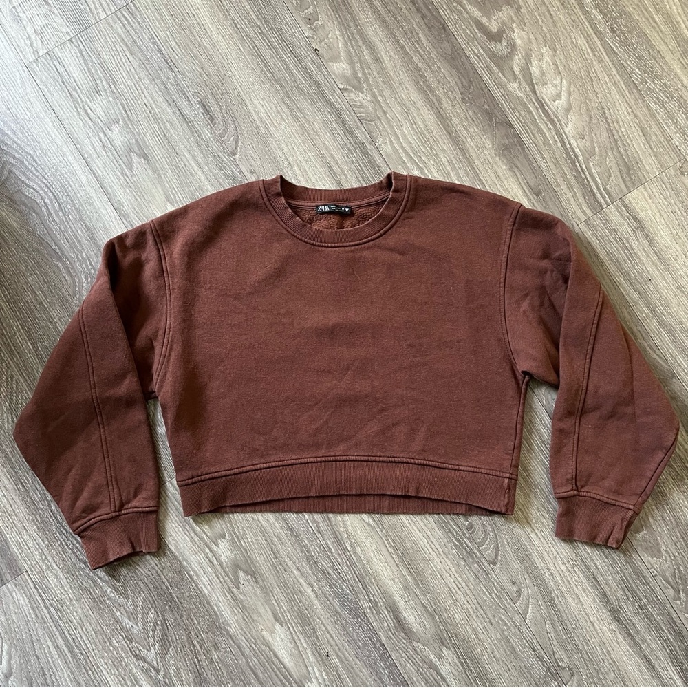 Zara Chocolate Brown CropTop Sweatshirt